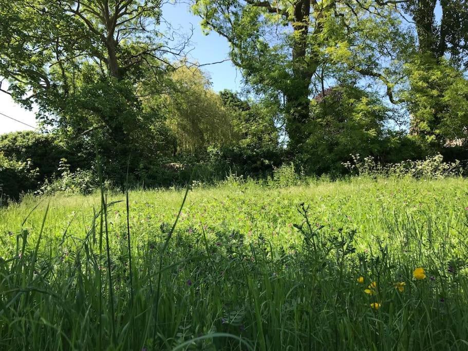 Priory Meadow Cottage Long Bennington Exteriér fotografie