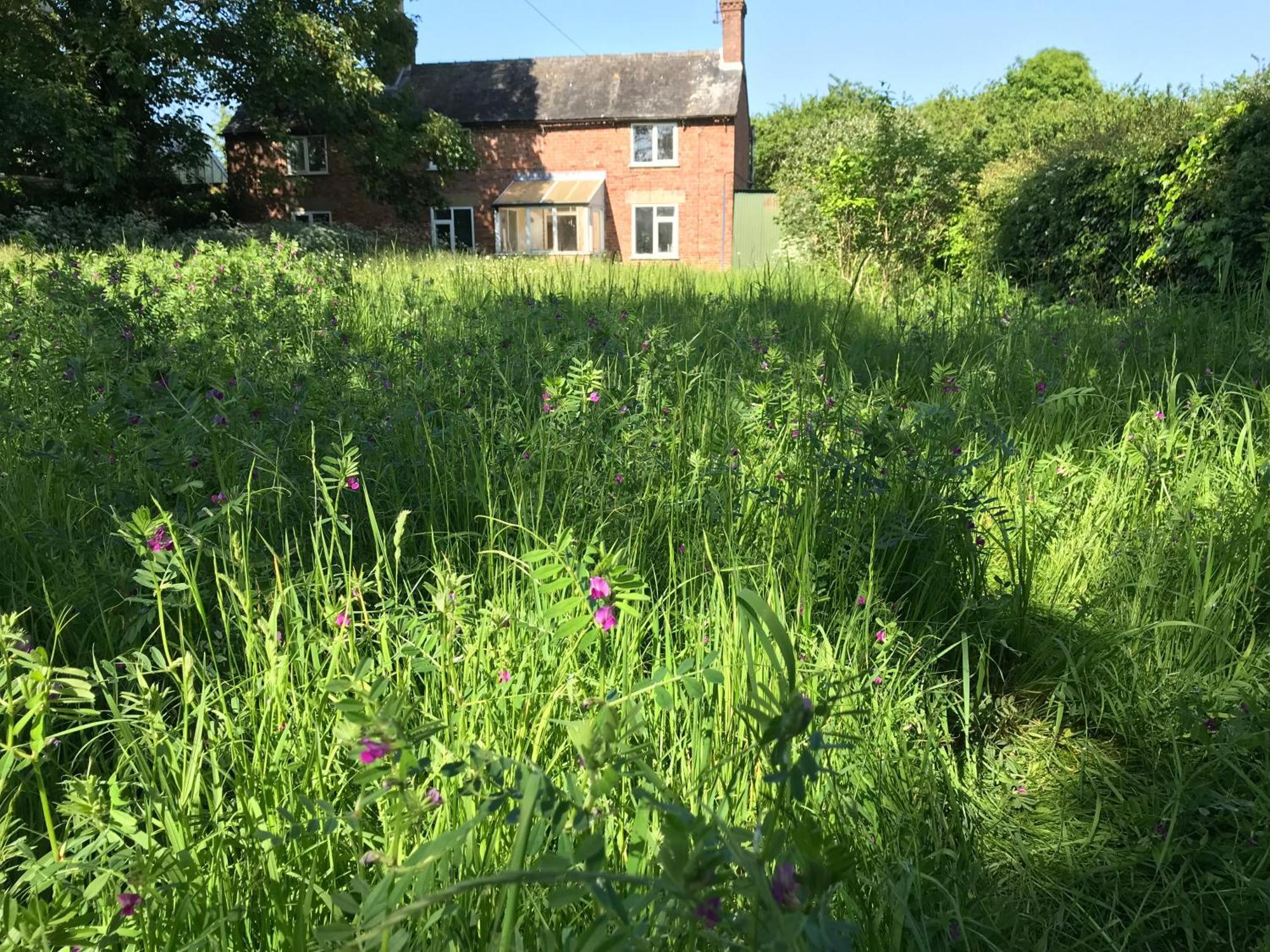 Priory Meadow Cottage Long Bennington Exteriér fotografie